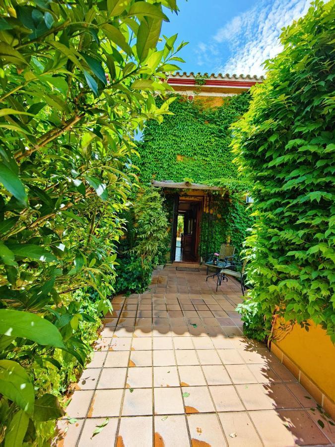 Hotel Donana Blues Matalascañas Exterior foto